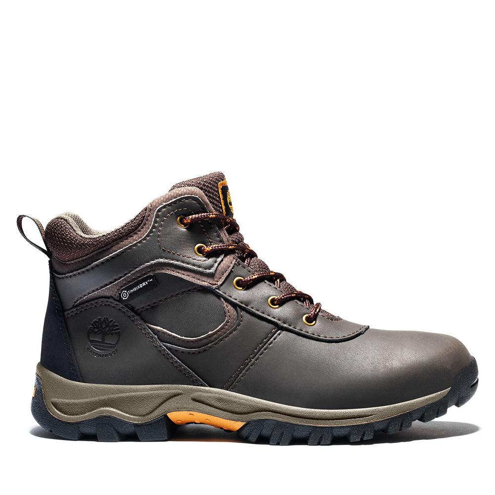 Bocanci De Drumeție Timberland Copii Maro Inchis - Junior Mt. Maddsen Waterproof - Romania - HLPUTQ4